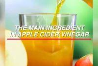 apple-cider-vinegar-before-bed