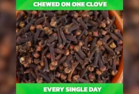 chew-one-clove-daily