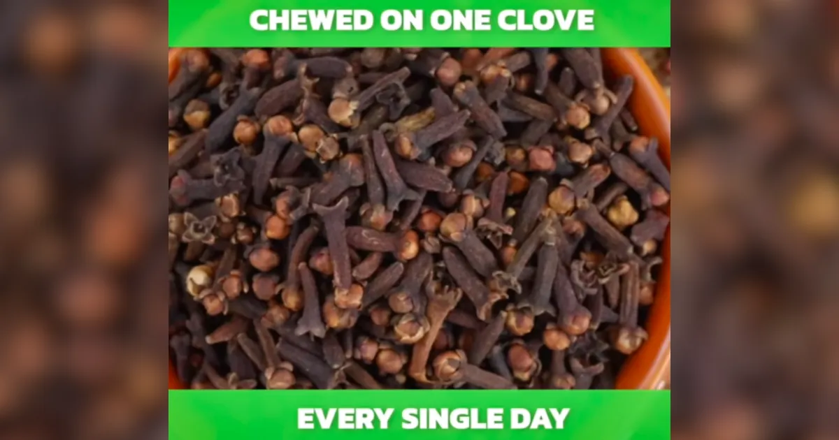 chew-one-clove-daily